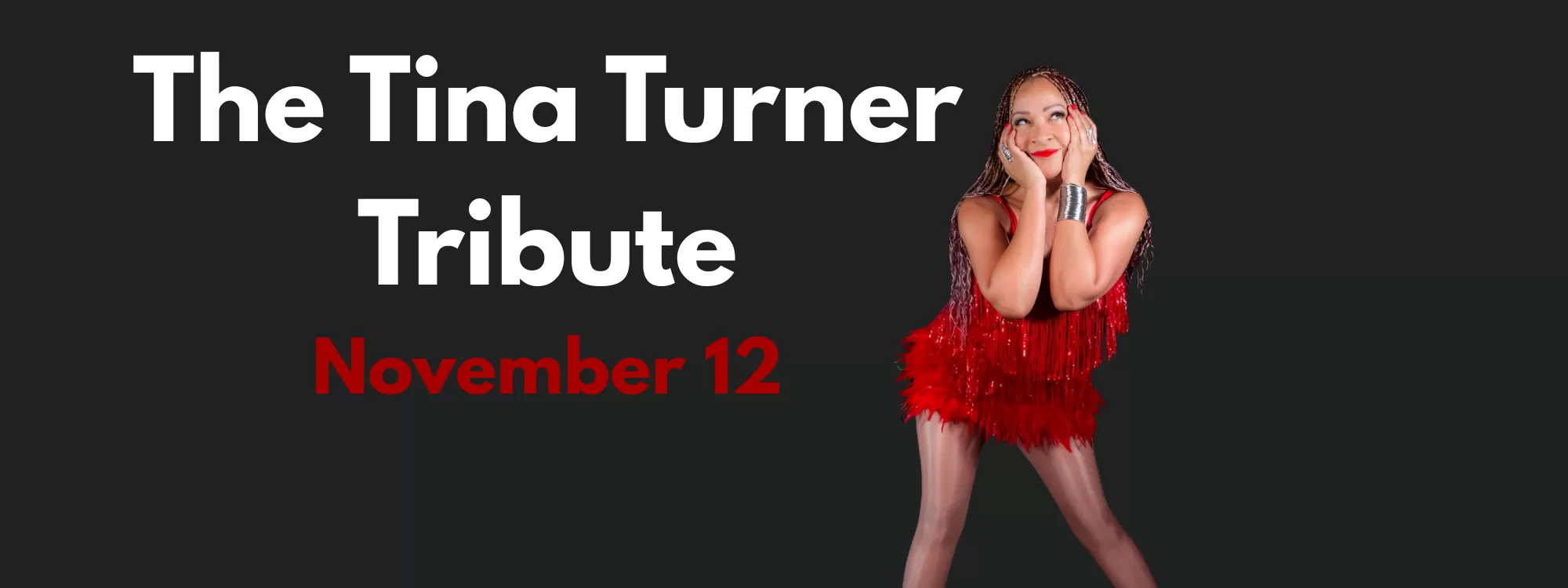 The Tina Turner Tribute